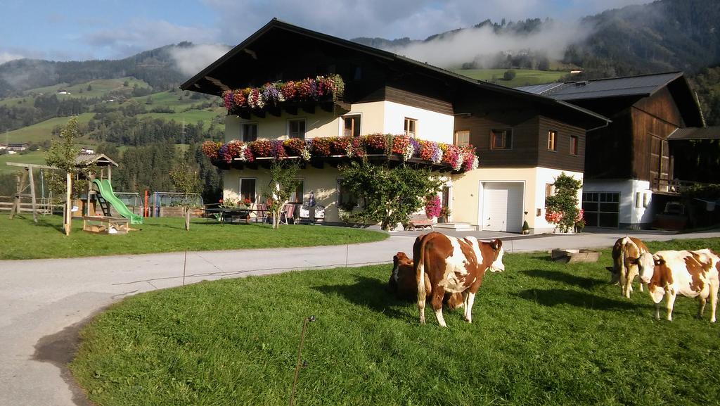 Rieserhof/Fam. Meissnitzer Taxenbach Exterior foto